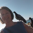 ���������� ������, ���� ������� �����, 41 ���, ������������ ��� c�������� ���������