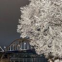  ,   Irina, 52 ,   ,   , c 