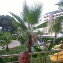  ,   , 31 ,   ,   , c 