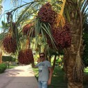 ���������� ������, ���� ������� �����, 36 ���, ������������ 