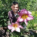 ���������� ���������� �����, ���� ������� �����, 45 ���, ������������ ��� ������, ����� � ���������