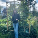 ���������� �����-���������, ���� ������� �������, 37 ���, ������������ ��� ������, ����� � ���������, ���������