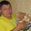  ,   , 46 ,   ,   , c 