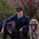 ���������� ���������, ���� ������� ���������, 49 ���, ������������ ��� c�������� ���������, ���������