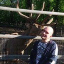 ���������� ��������, ���� ������� ���������, 43 ����, ������������ ��� ������, ����� � ���������