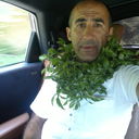  ,   Zoxrab, 52 ,   