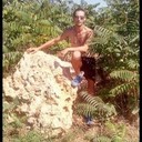  ,   , 38 ,   , 