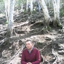  ,   , 51 ,   ,   , c , 