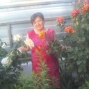 ���������� ������, ���� ������� ���������, 67 ���, ������������ ��� ������, ����� � ���������, c�������� ���������