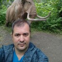 ���������� ���, ���� ������� ����, 38 ���, ������������ ��� ������, ����� � ���������