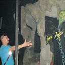 ���������� ������������, ���� ������� ������, 43 ����, ������������ ��� ������, ����� � ���������, c�������� ���������