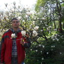  ,   , 41 ,   ,   , c 