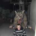 ���������� ������, ���� ������� ����, 38 ���, ������������ ��� ������, ����� � ���������, c�������� ���������