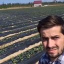 ���������� �������, ���� ������� Toma, 36 ���, ������������ ��� ������, ����� � ���������, c�������� ���������