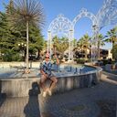 ���������� ���������, ���� ������� ������, 39 ���, ������������ ��� ������, ����� � ���������