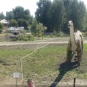 ���������� �����, ���� ������� ������, 45 ���, ������������ ��� ������, ����� � ���������, c�������� ���������