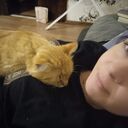  ,   , 36 ,   