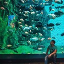 ���������� �����-���������, ���� ������� FED, 30 ���, ������������ ��� ������, ����� � ���������