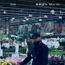 ���������� ������, ���� ������� ������, 37 ���, ������������ ��� ������, ����� � ���������, ���������