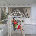 ���������� ��������, ���� ������� �������, 40 ���, ������������ ��� ����� � ���������, c�������� ���������