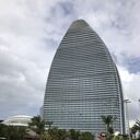 ���������� ���, ���� ������� �������, 36 ���, ������������ ��� ������, ����� � ���������