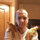  -,   , 43 ,   ,   