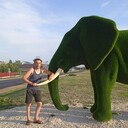  ,   , 47 ,   ,   , c , 