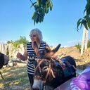 ���������� �����, ���� ������� ����, 60 ���, ������������ ��� ����� � ���������, c�������� ���������