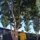 ���������� ������-��-����, ���� ������� ����, 39 ���, ������������ ��� c�������� ���������