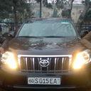 ���������� �������, ���� ������� ����, 37 ���, ������������ ��� ������