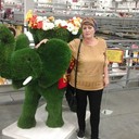  ,   , 53 ,   ,   , c 