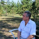  ,   , 65 ,   
