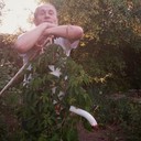 ���������� �������, ���� ������� ������, 63 ����, ������������ ��� ������, ���������