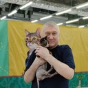 ���������� ������, ���� ������� �����, 55 ���, ������������ ��� ������, ����� � ���������