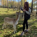 ���������� �����, ���� ������� ��������, 26 ���, ������������ ��� ���������