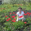  ,   Cfksx, 43 ,   