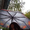 ���������� ������, ���� ������� ����, 36 ���, ������������ ��� ������, ����� � ���������