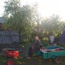 ���������� �������, ���� ������� ����, 50 ���, ������������ ��� ������, ����� � ���������