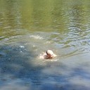 ���������� �������, ���� ������� ����, 30 ���, ������������ ��� ������, ����� � ���������, c�������� ���������