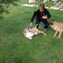  ,   Viktor, 38 ,   ,   , c 