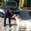  ,   Andrey, 37 ,     , c 