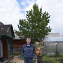 ���������� �����������, ���� ������� �������, 40 ���, ������������ ��� ������, ����� � ���������, c�������� ���������