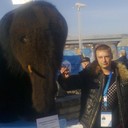 ���������� �������, ���� ������� ������, 42 ����, ������������ ��� ������, ����� � ���������, c�������� ���������