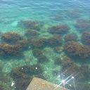 ���������� ������, ���� ������� ������, 47 ���, ������������ ��� ������