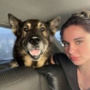 ���������� �����-���������, ���� ������� ��������, 24 ����, ������������ ��� ������, ����� � ���������