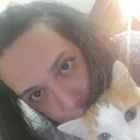 ���������� ���������, ���� ������� ����, 40 ���, ������������ ��� c�������� ���������