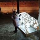 ���������� ����, ���� ������� �������, 38 ���, ������������ ��� ������, ����� � ���������