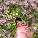  ,   , 56 ,   ,   