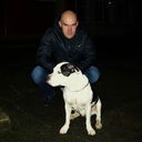  ,   Alexander, 43 ,   ,   , c 