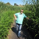 ���������� �������, ���� ������� ������, 38 ���, ������������ ��� ������, ����� � ���������, c�������� ���������